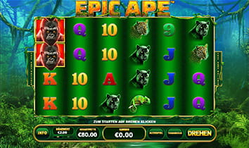 Der Slot Epic Ape wird zum Testzeitpunkt vom William Hill Casino stark promoted und liefert euch auf 6 Walzen bis zu 4.096 Gewinnmöglichkeiten.